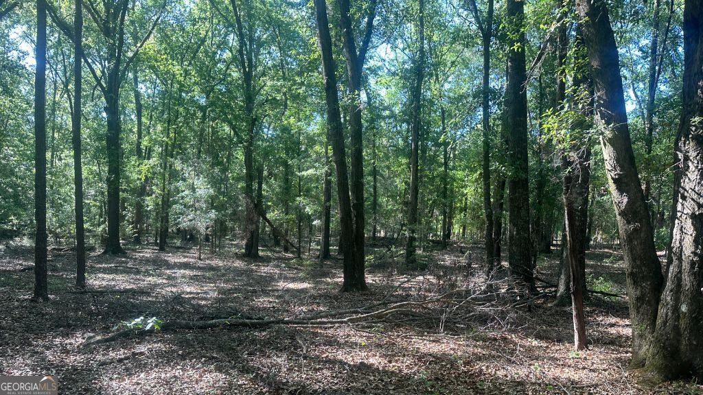 8 Country Club Road Lot 8 Property Photo 31