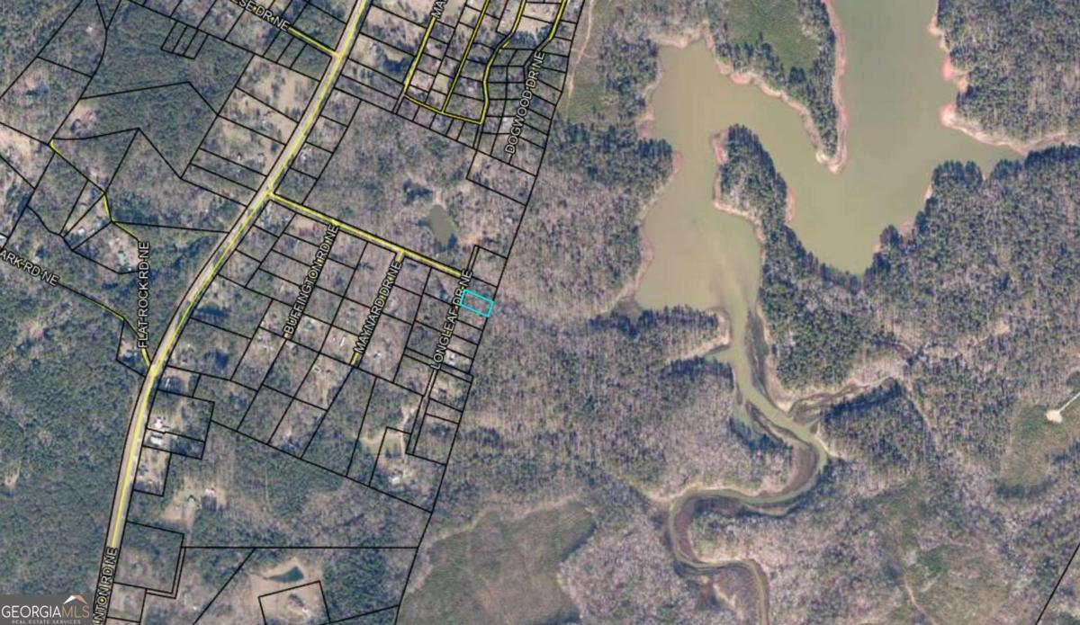 0 Long Leaf Drive Property Photo 2
