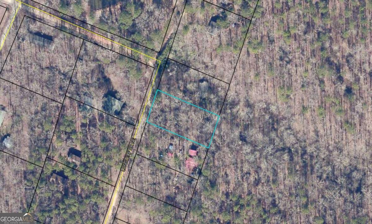 0 Long Leaf Drive Property Photo 3