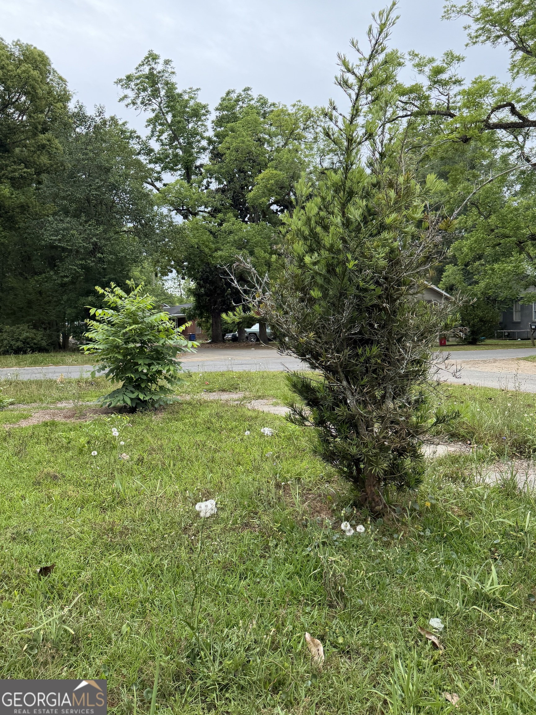 225 W Jessamine Street Property Photo 12
