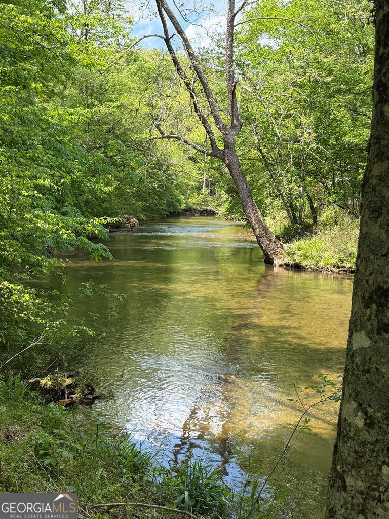 9.8 Ac Brown Mountain Property Photo 1