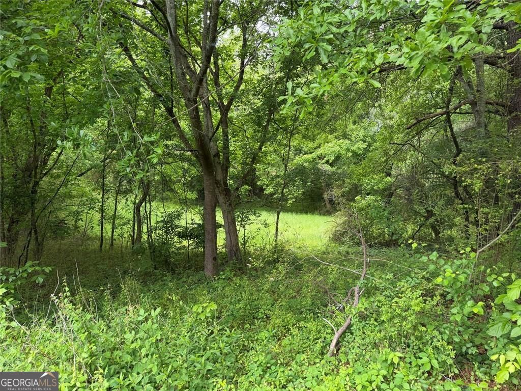 565 Avery Road Property Photo 7
