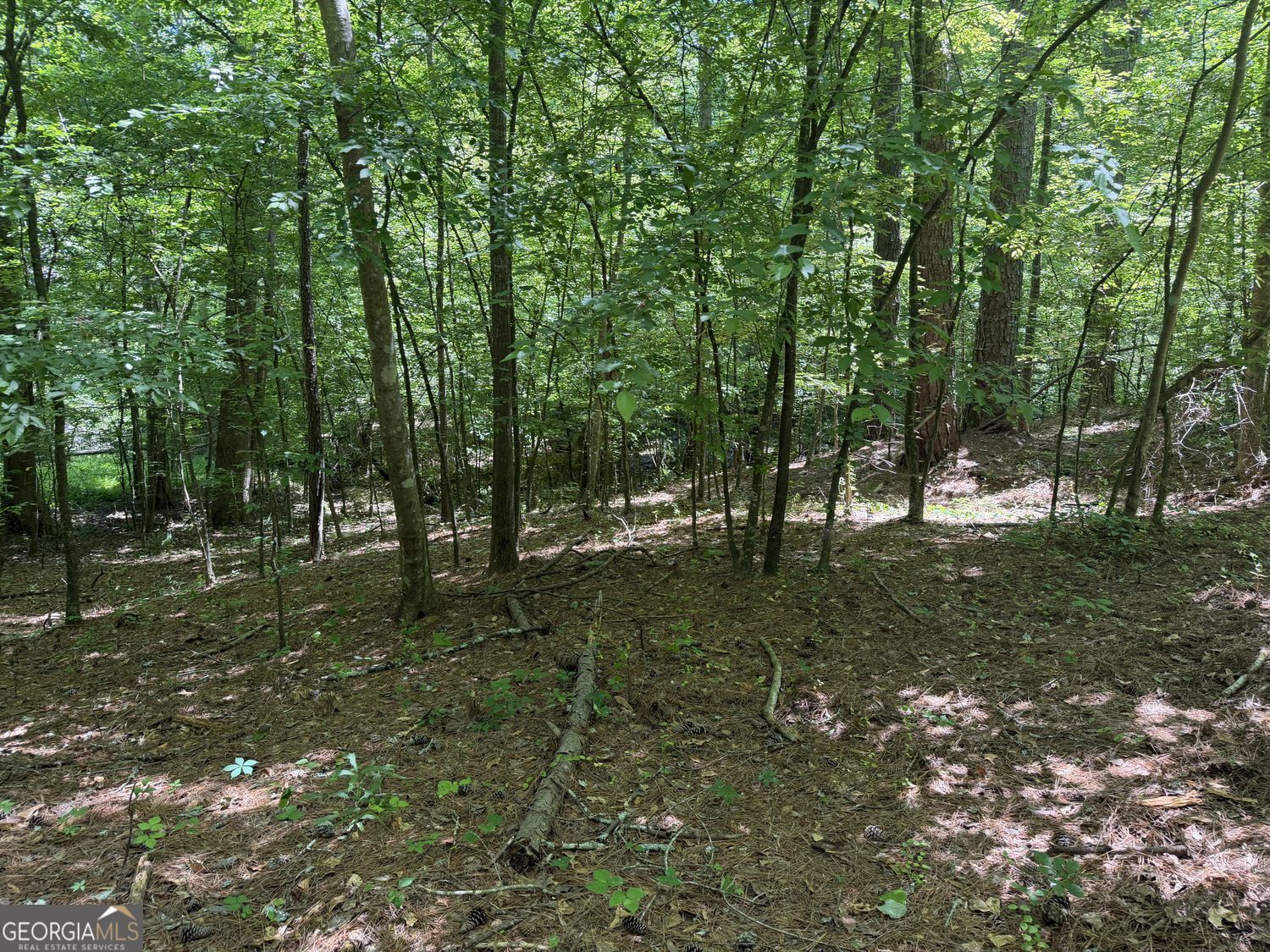 565 Avery Road Property Photo 9