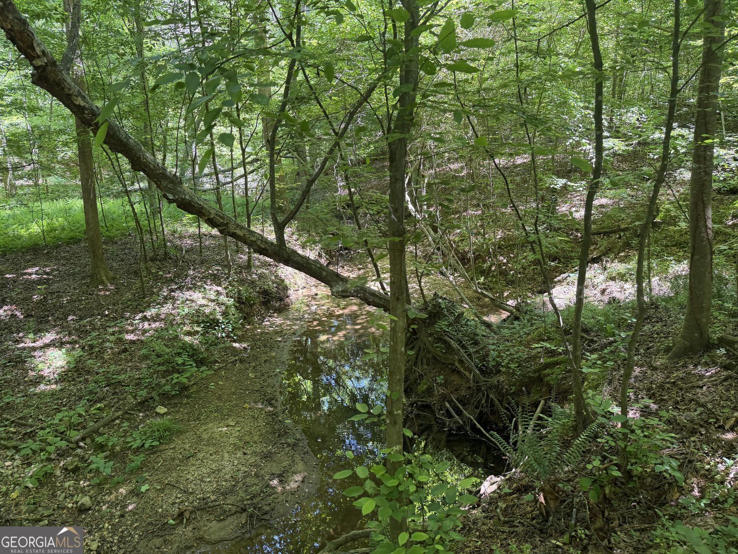 565 Avery Road Property Photo 10