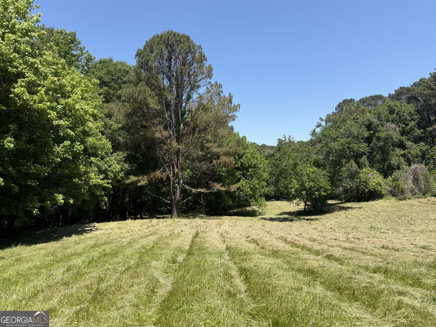 565 Avery Road Property Photo 13