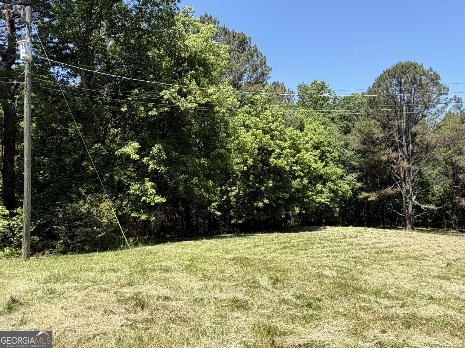 565 Avery Road Property Photo 14