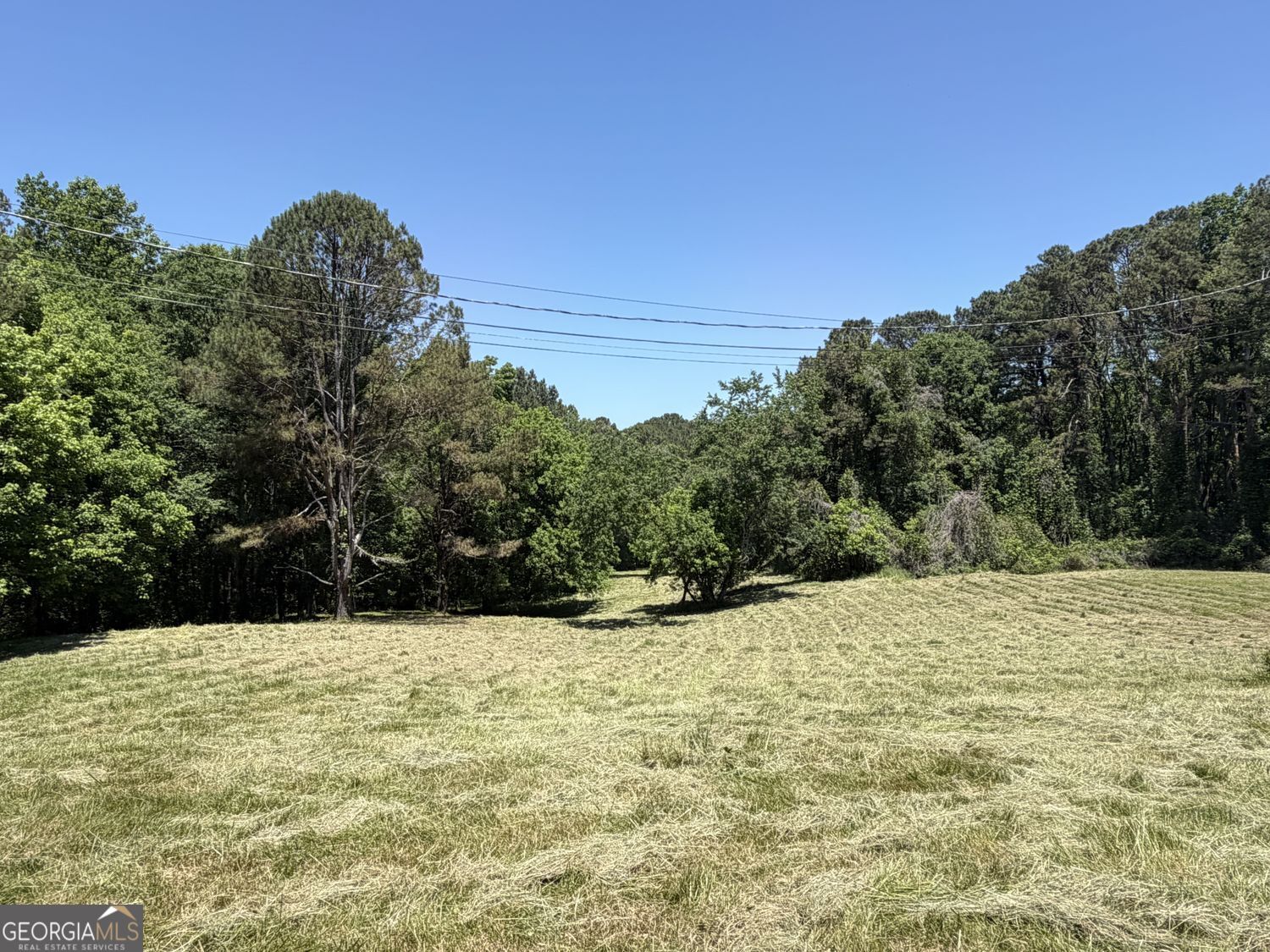 565 Avery Road Property Photo 15