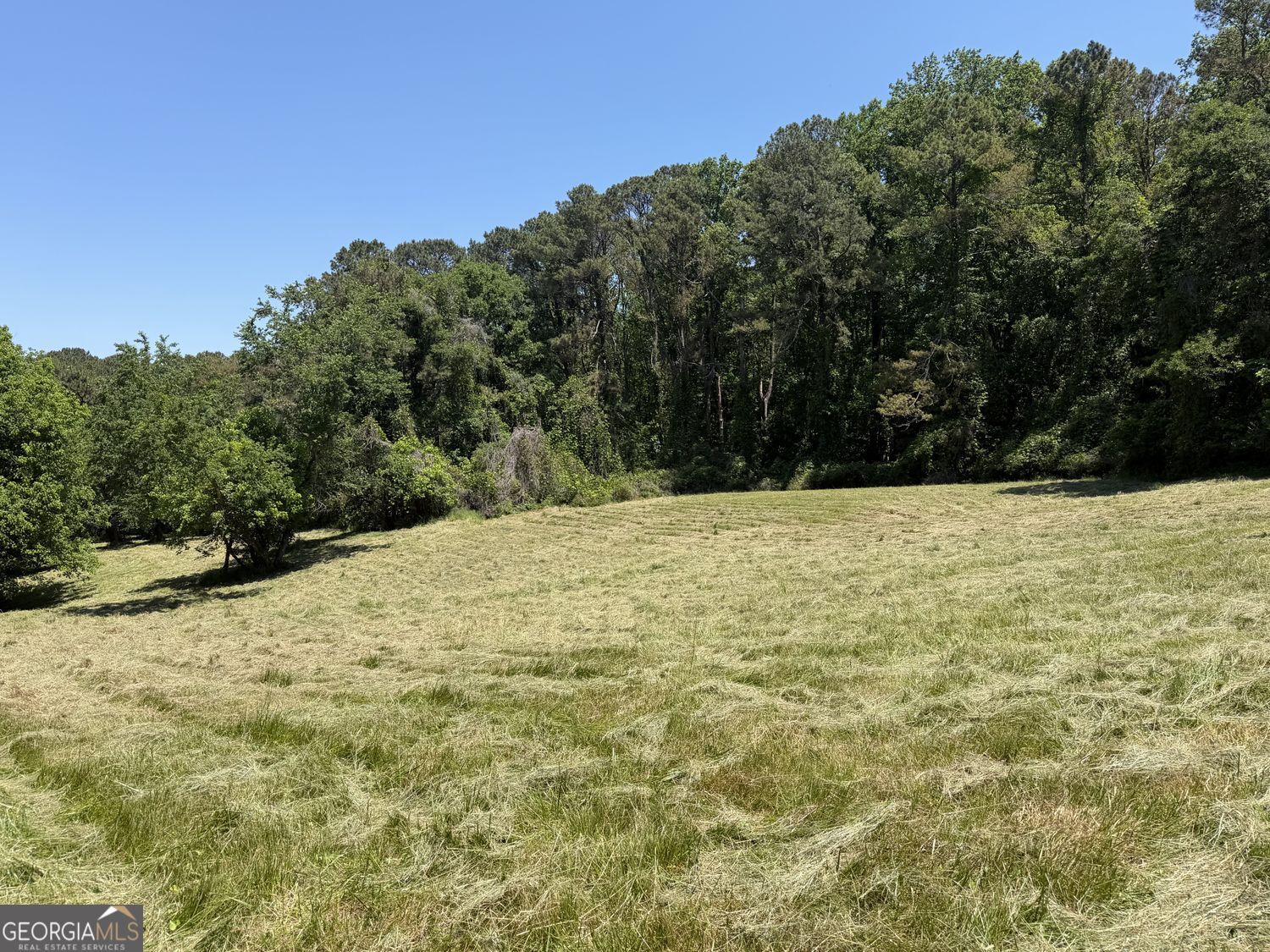 565B Avery Road Property Photo 1