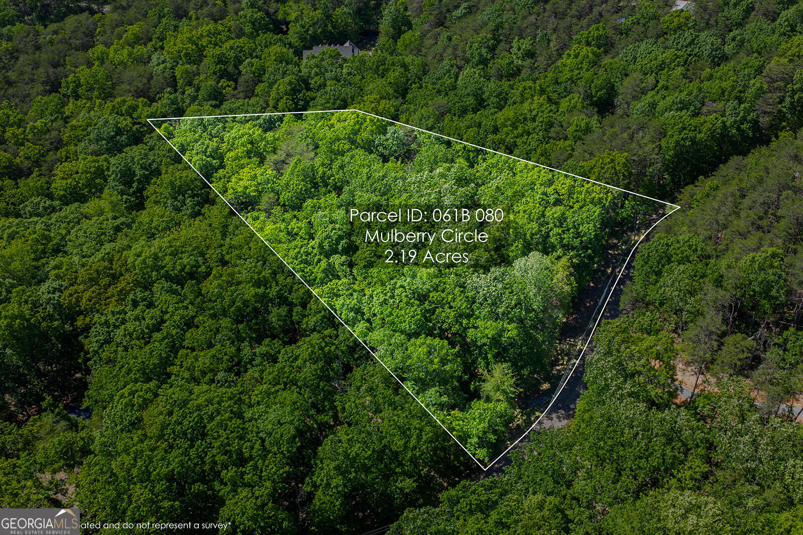 0 Mulberry Circle Property Photo 3