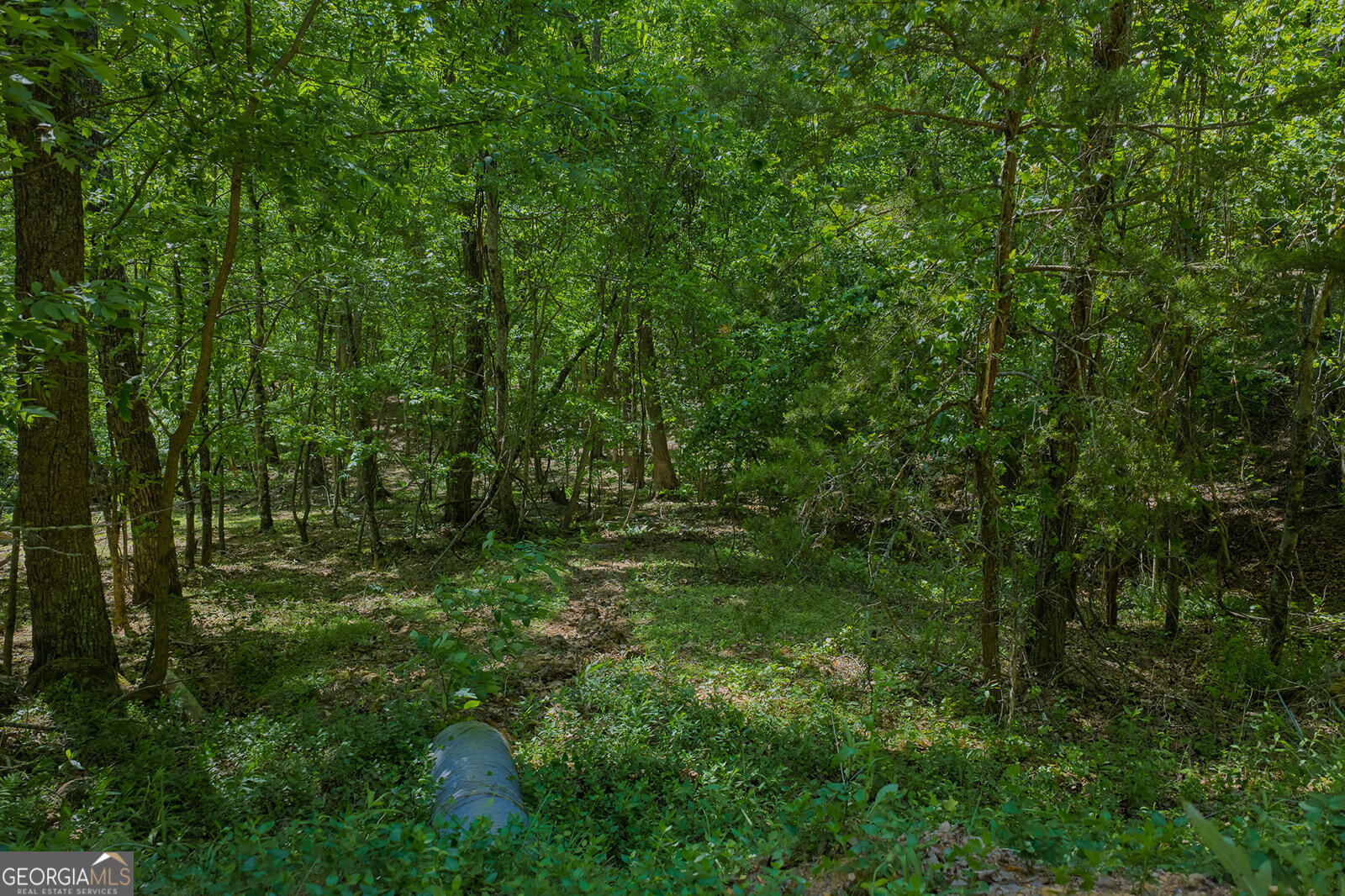 0 Mulberry Circle Property Photo 4