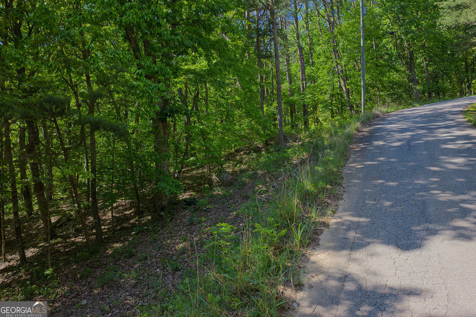 0 Mulberry Circle Property Photo 6