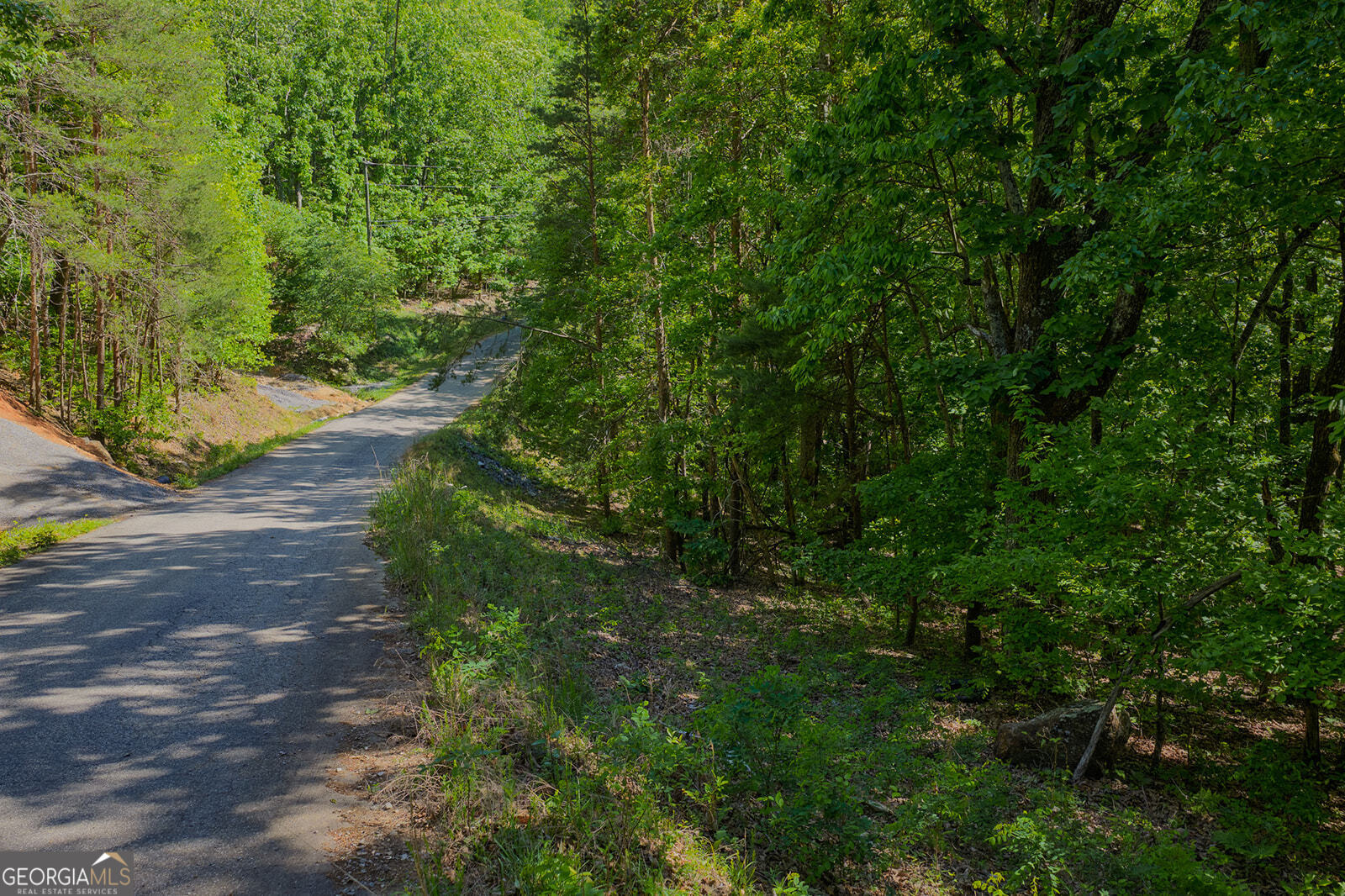 0 Mulberry Circle Property Photo 7