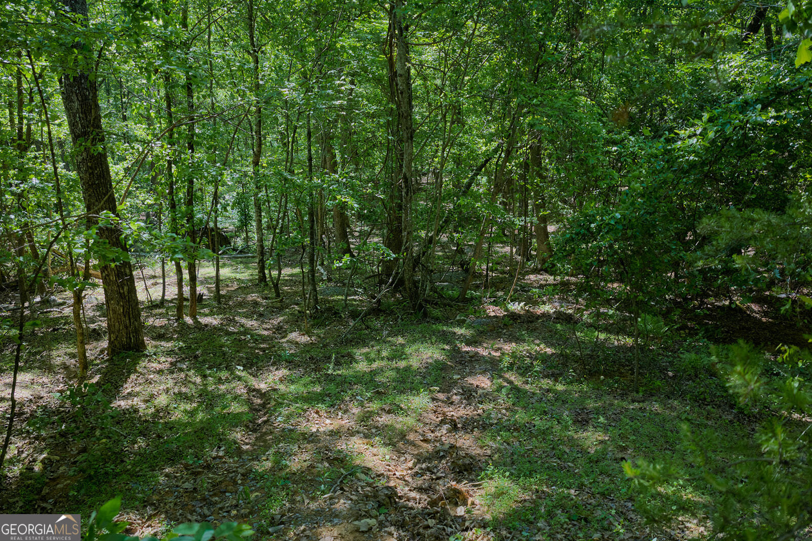 0 Mulberry Circle Property Photo 9