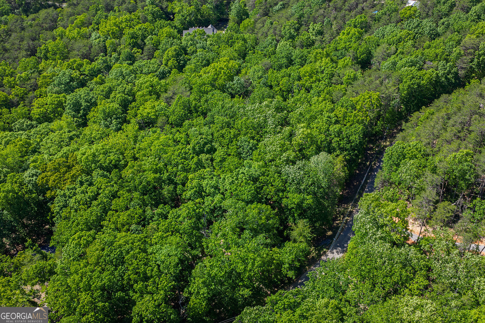 0 Mulberry Circle Property Photo 10