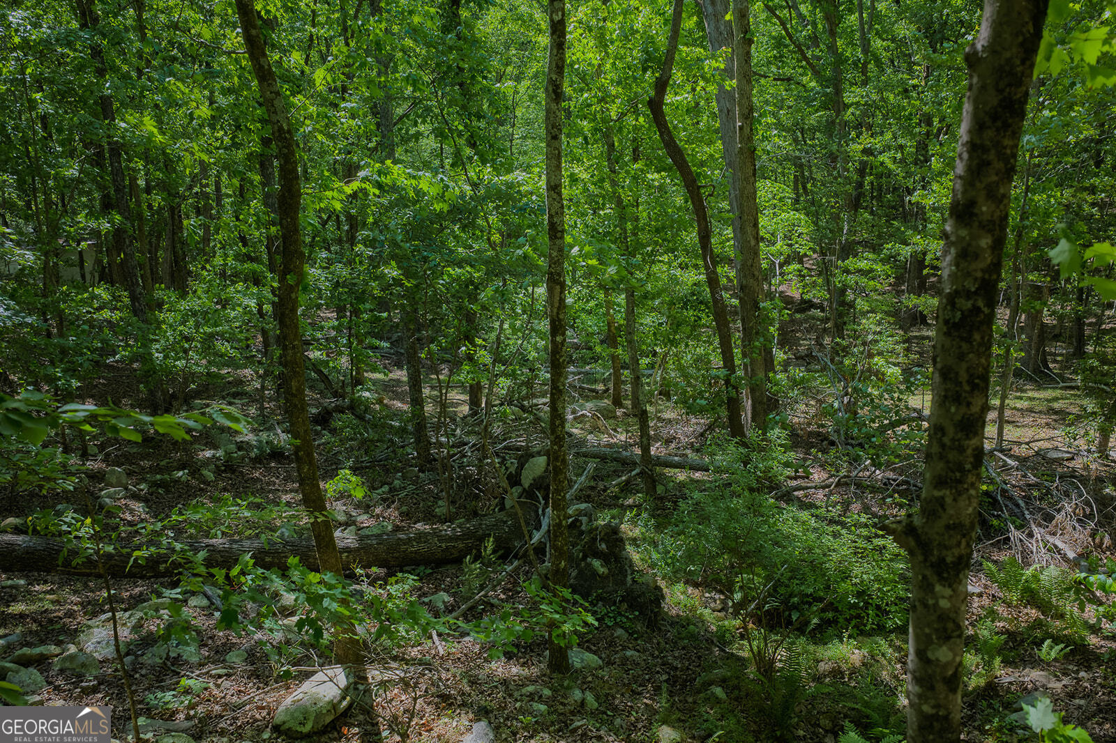 0 Mulberry Circle Property Photo 11