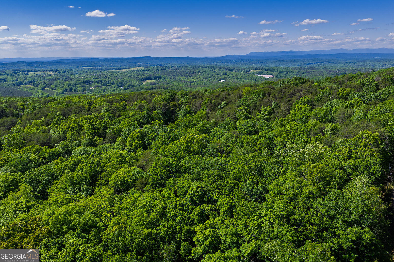 0 Mulberry Circle Property Photo 12