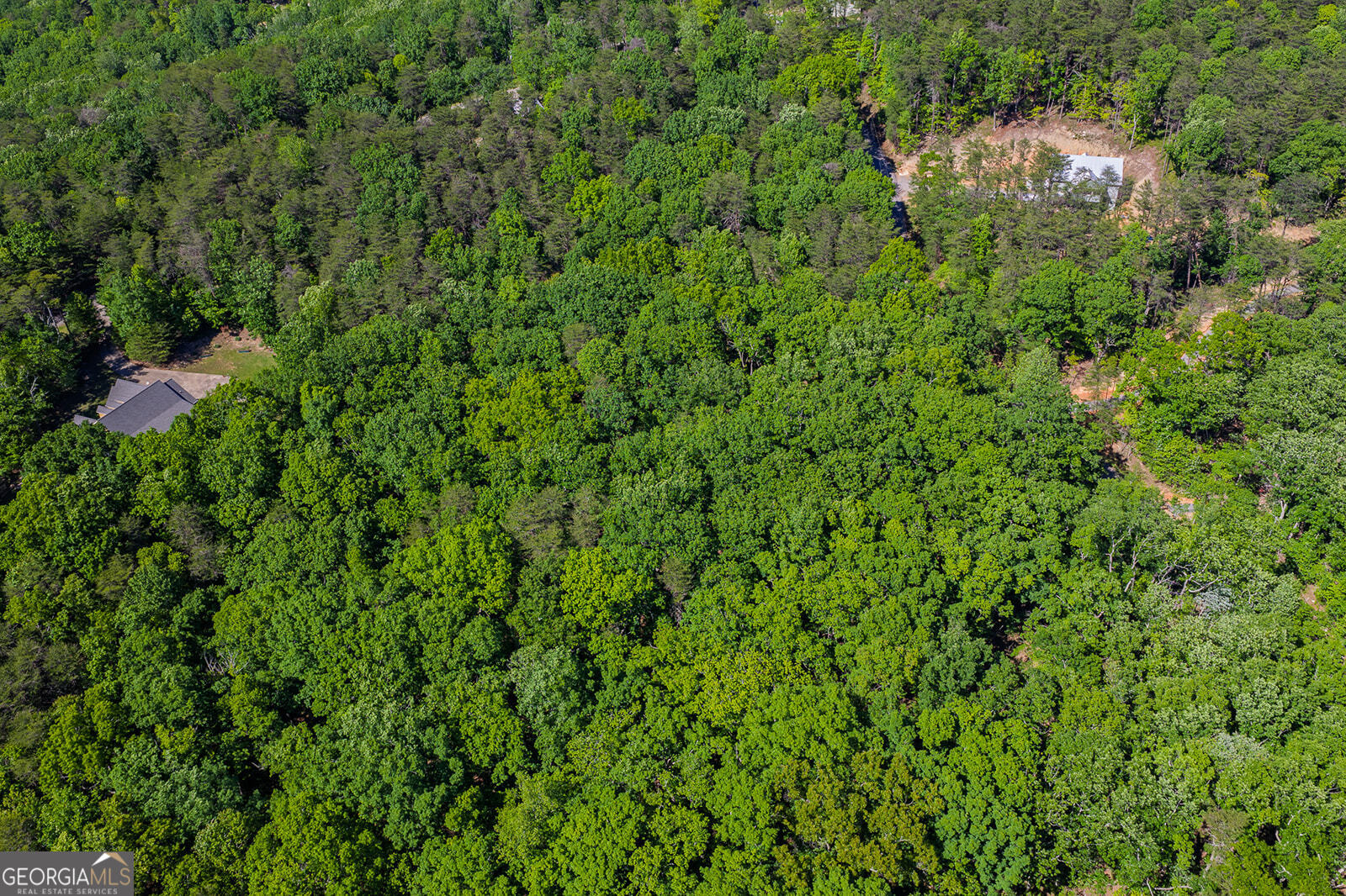 0 Mulberry Circle Property Photo 13