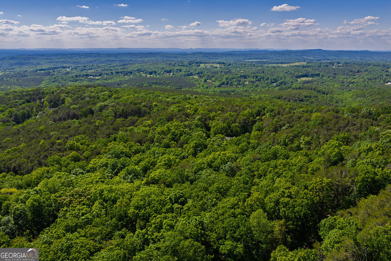 0 Mulberry Circle Property Photo 15