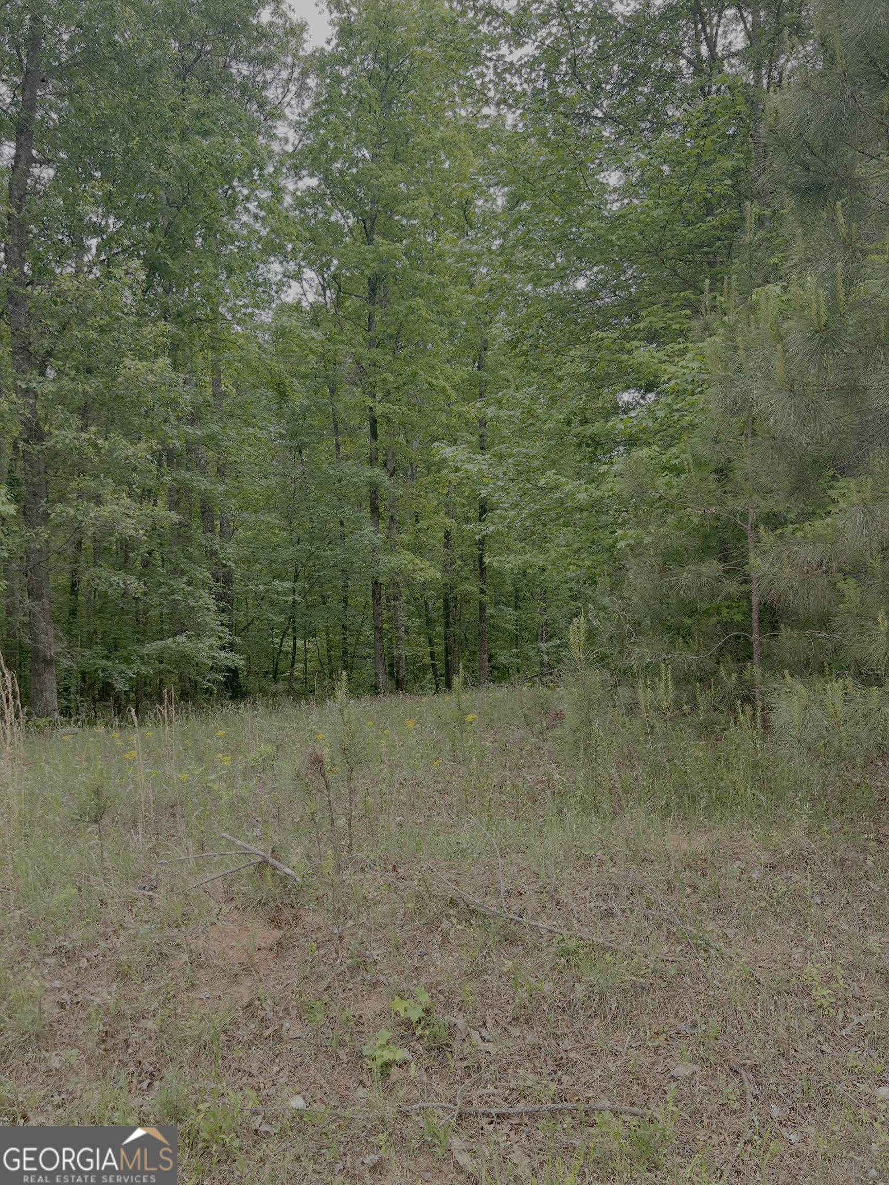 1585 N Ola Road Property Photo 2