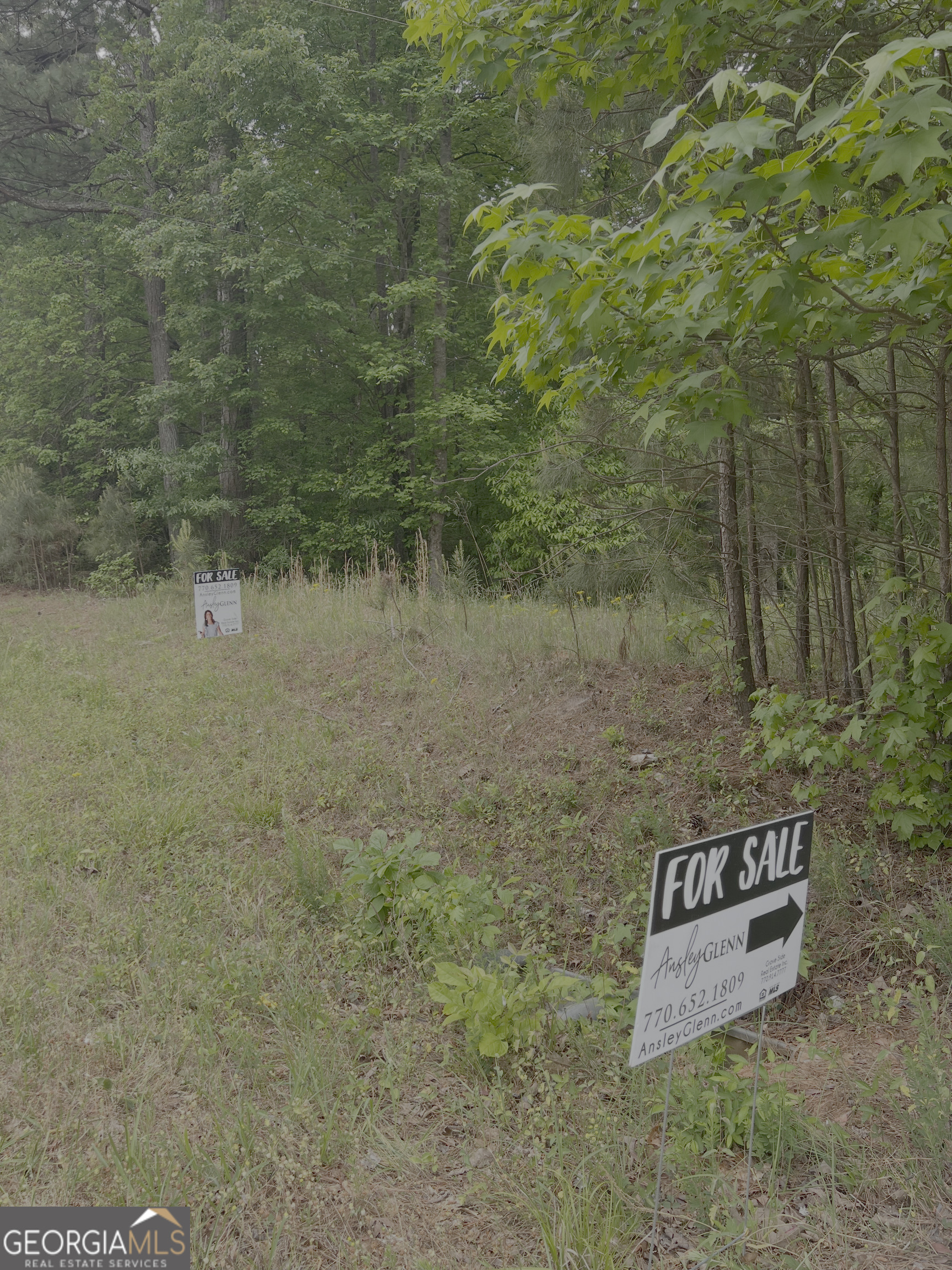 1585 N Ola Road Property Photo 3
