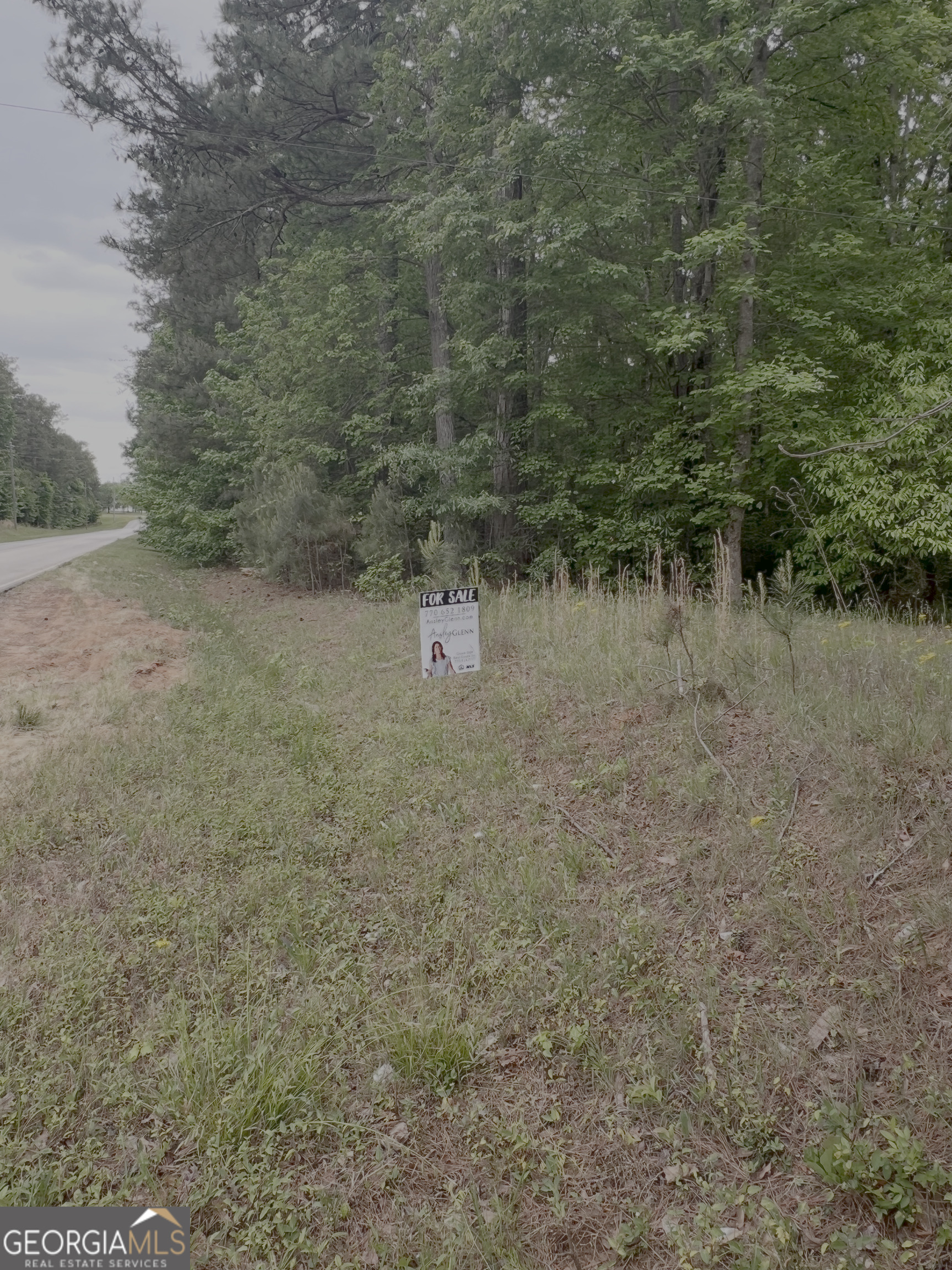 1585 N Ola Road Property Photo 4