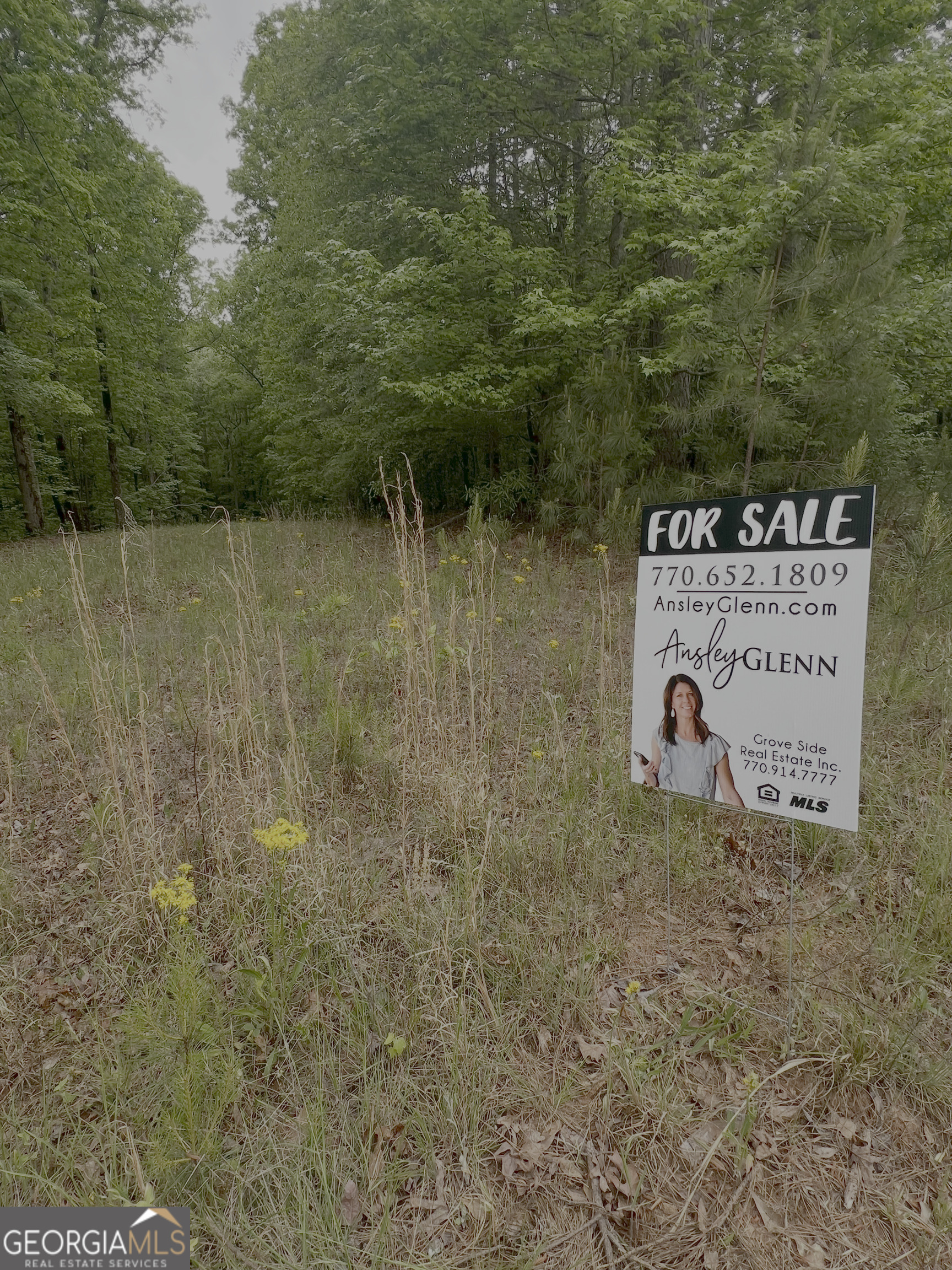 1585 N Ola Road Property Photo 5