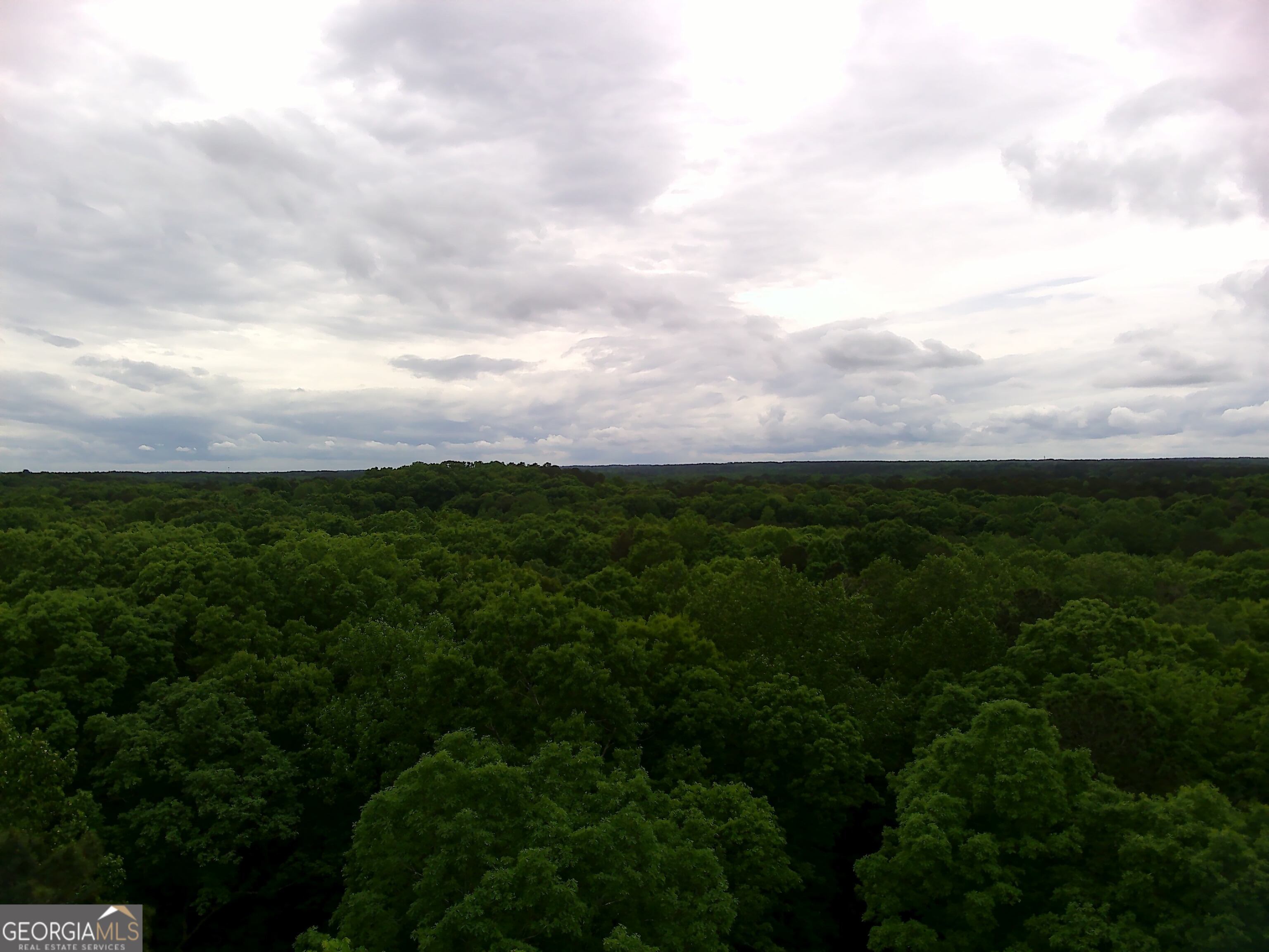 1585 N Ola Road Property Photo 6