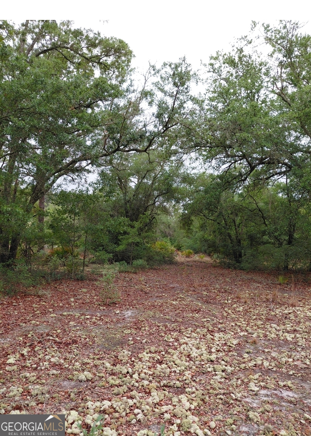 779 Ralph Davis Road Property Photo 5