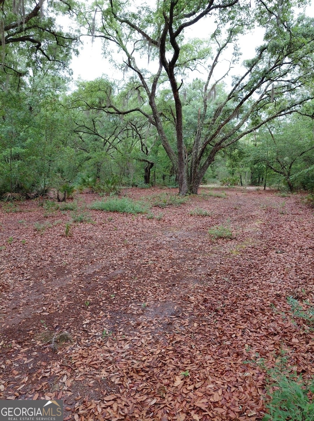 779 Ralph Davis Road Property Photo 9