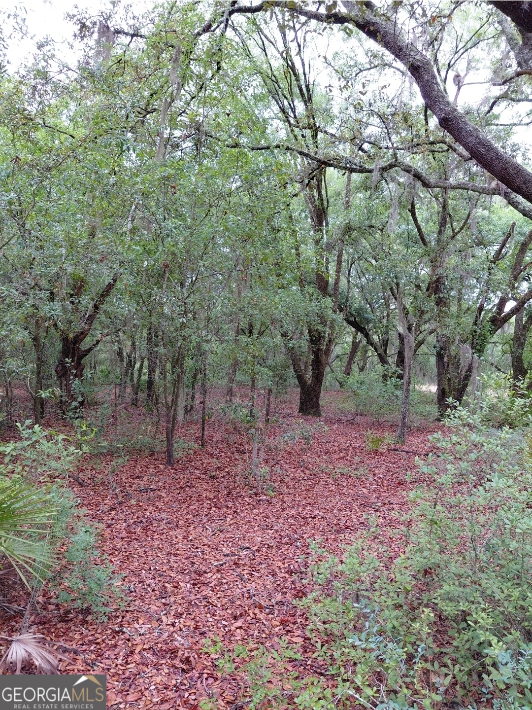 779 Ralph Davis Road Property Photo 10