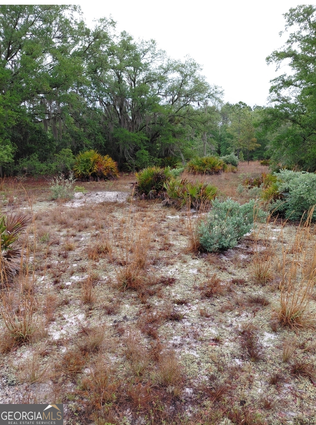779 Ralph Davis Road Property Photo 11