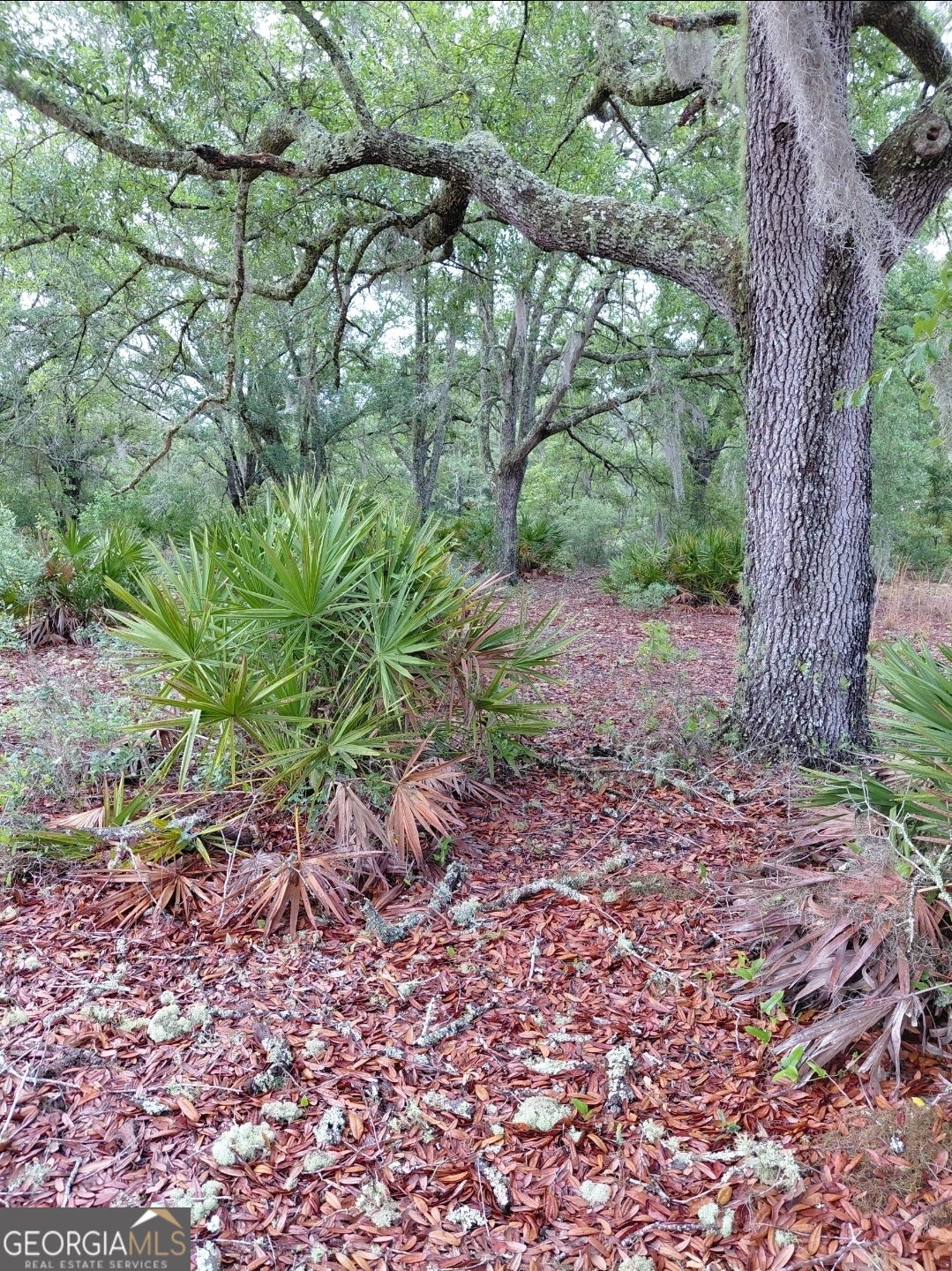 779 Ralph Davis Road Property Photo 13