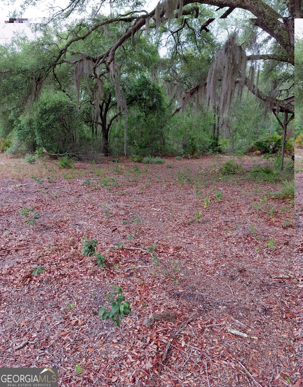 779 Ralph Davis Road Property Photo 15