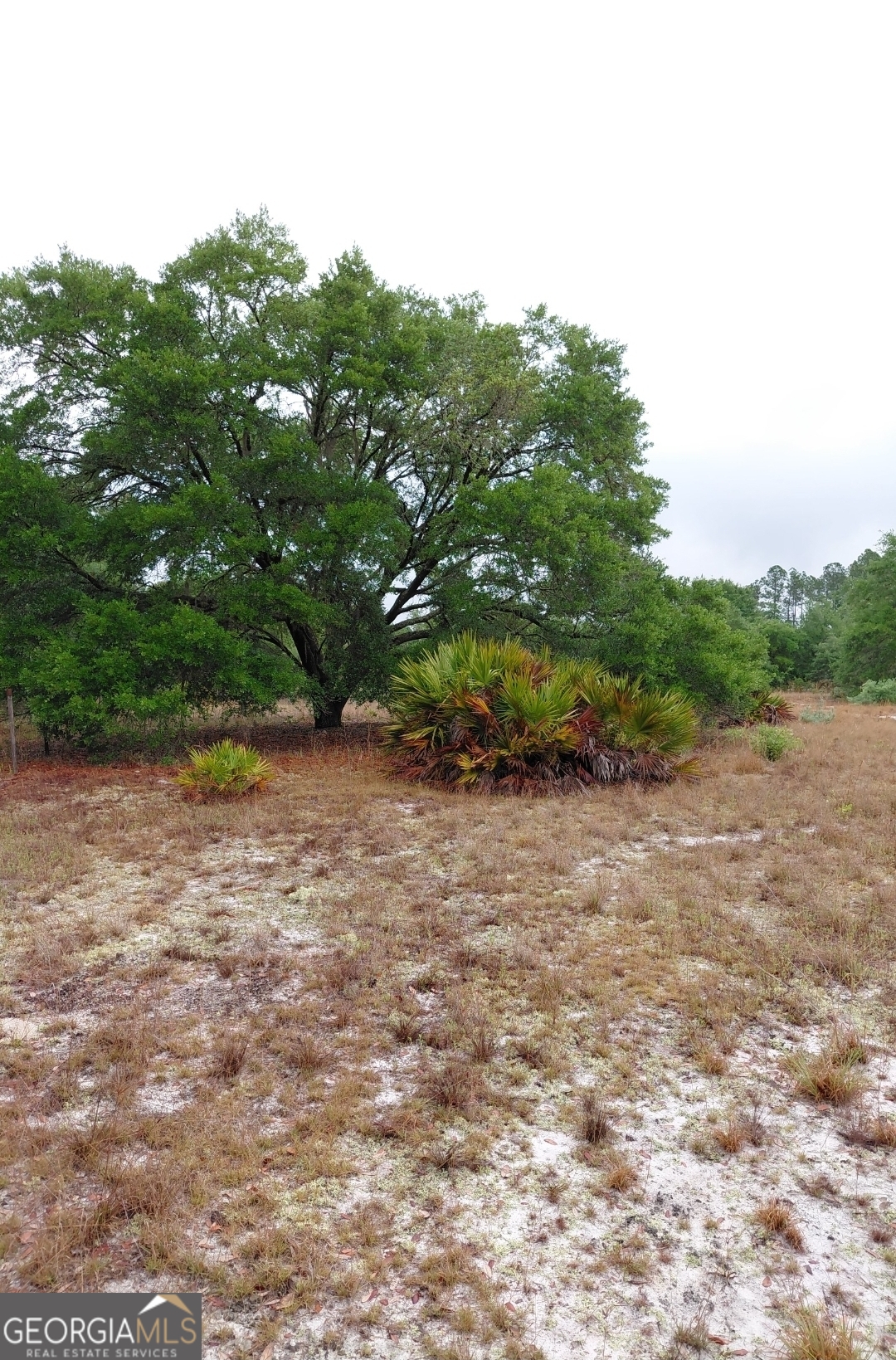 779 Ralph Davis Road Property Photo 17