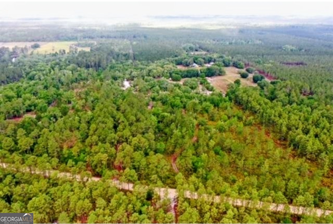 779 Ralph Davis Road Property Photo 22