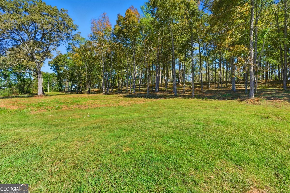 0 Cave Spring Road Property Photo 13