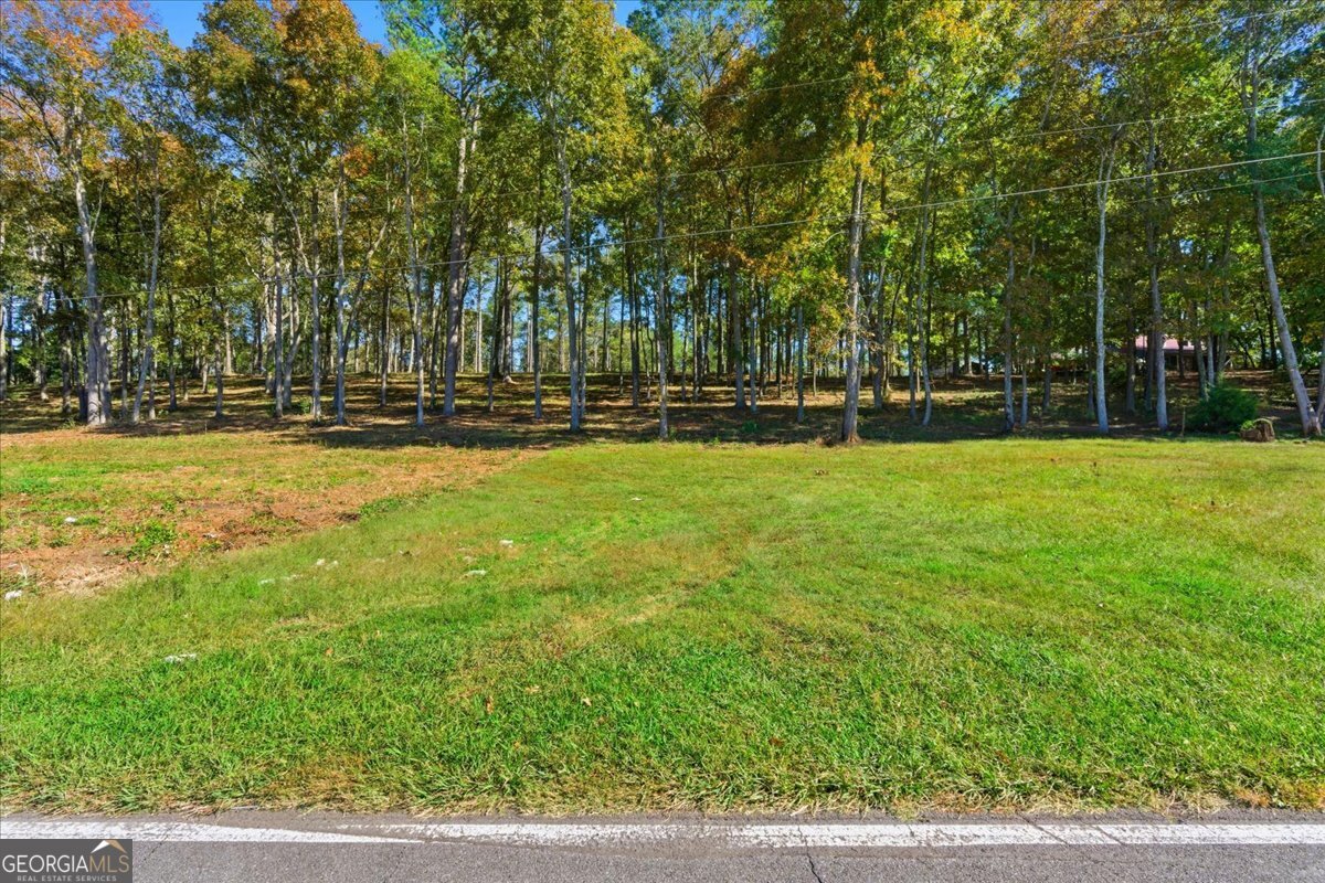 0 Cave Spring Road Property Photo 14