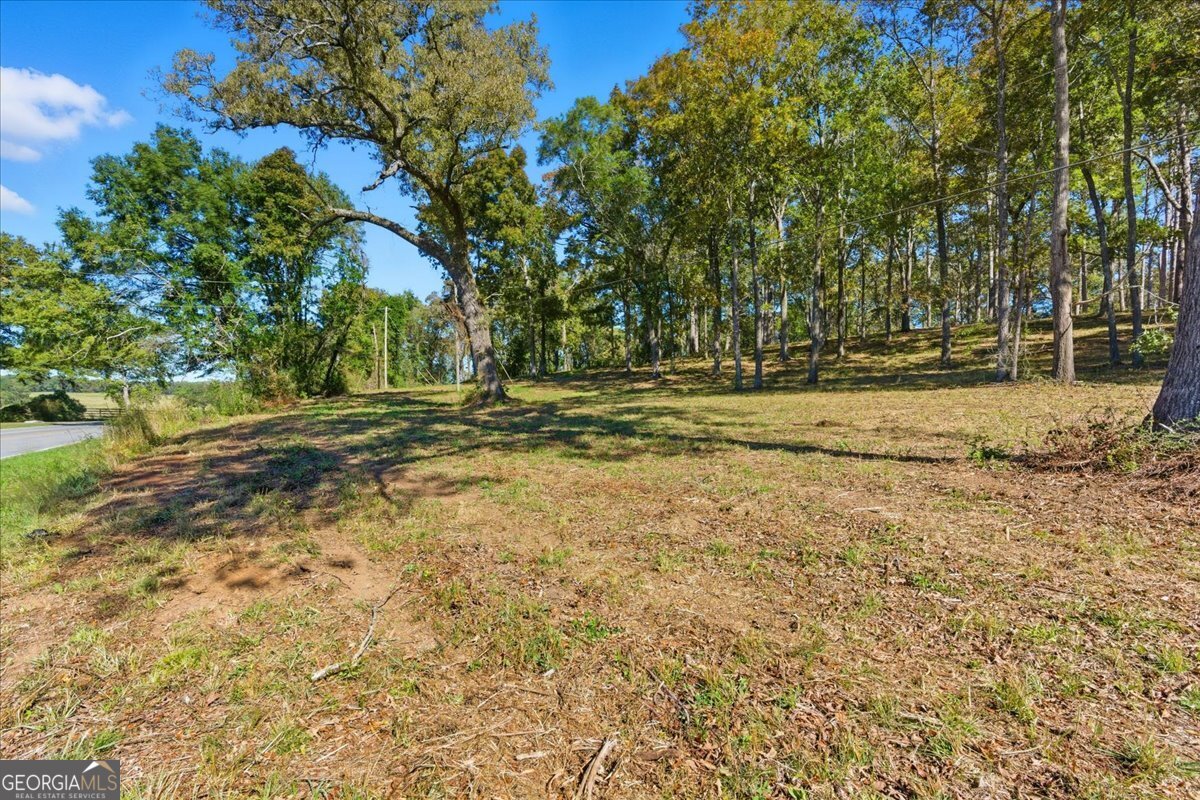 0 Cave Spring Road Property Photo 15