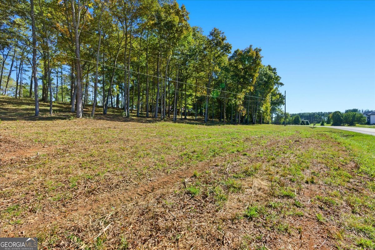0 Cave Spring Road Property Photo 16
