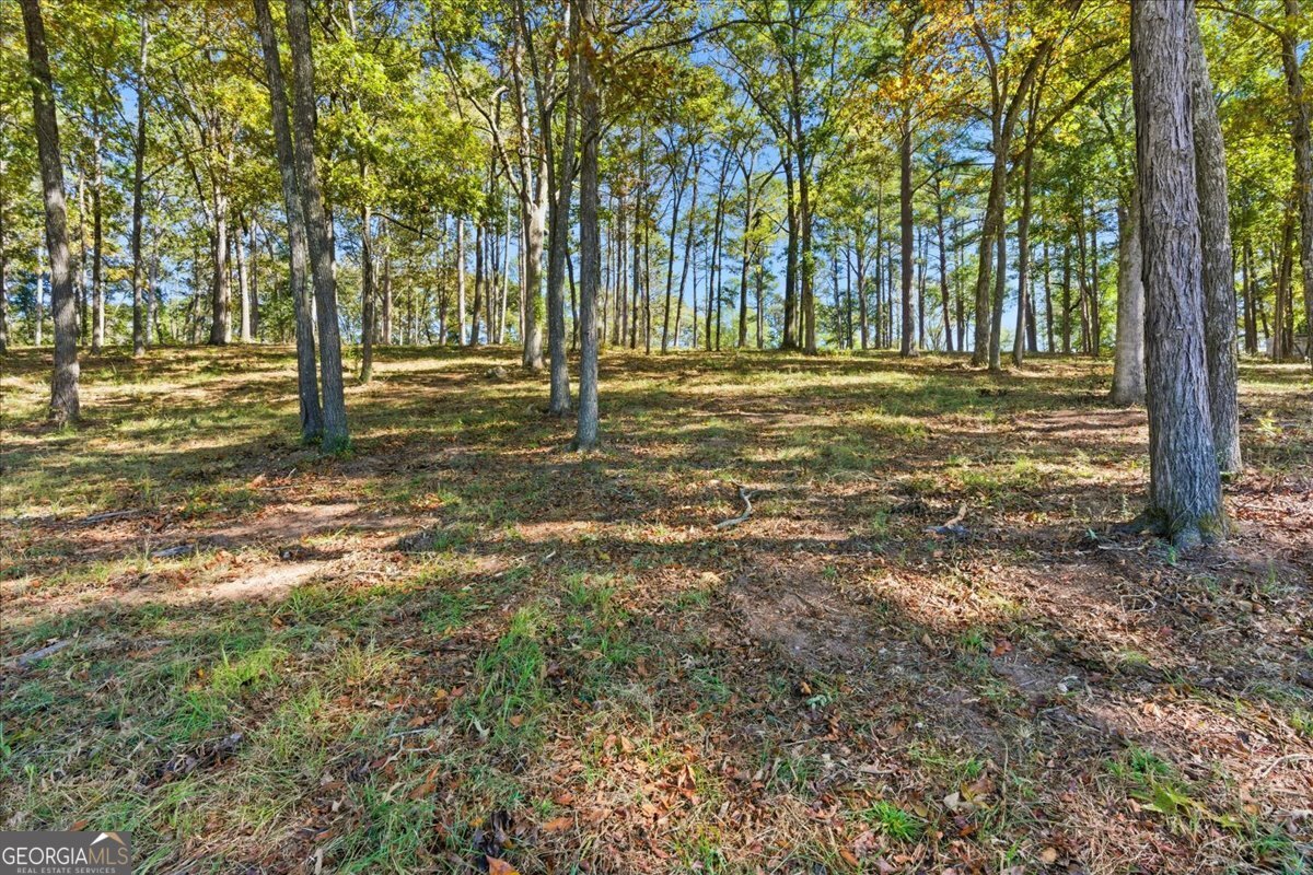 0 Cave Spring Road Property Photo 18