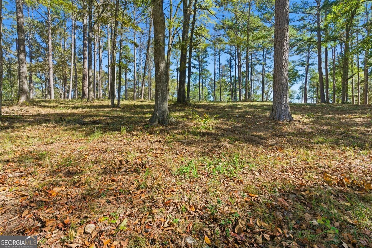0 Cave Spring Road Property Photo 19