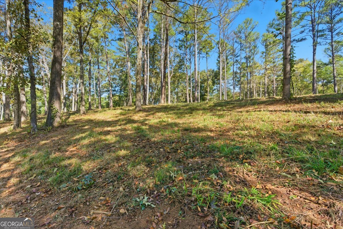 0 Cave Spring Road Property Photo 20