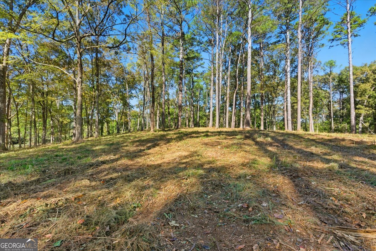 0 Cave Spring Road Property Photo 21