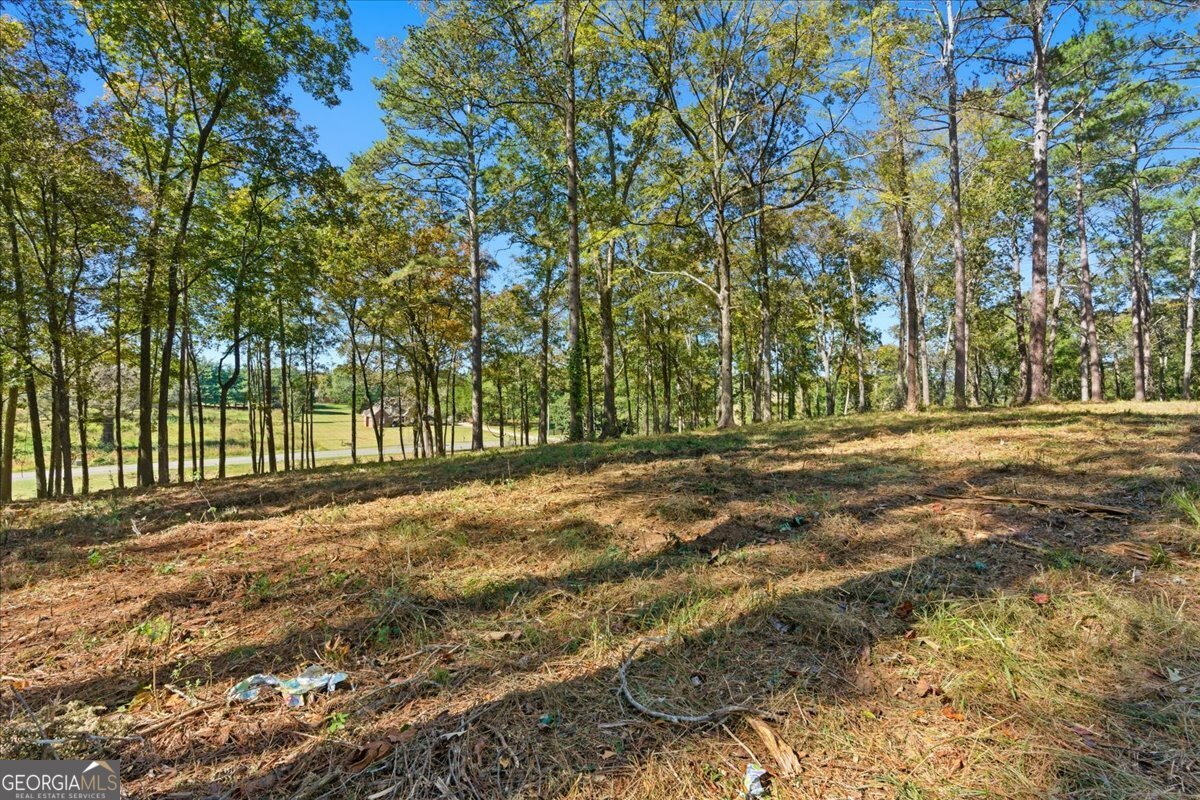 0 Cave Spring Road Property Photo 22