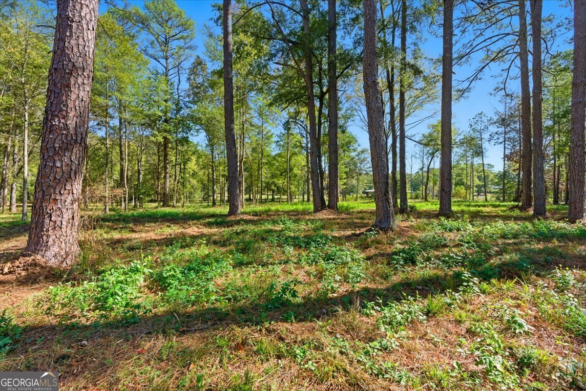 0 Cave Spring Road Property Photo 23