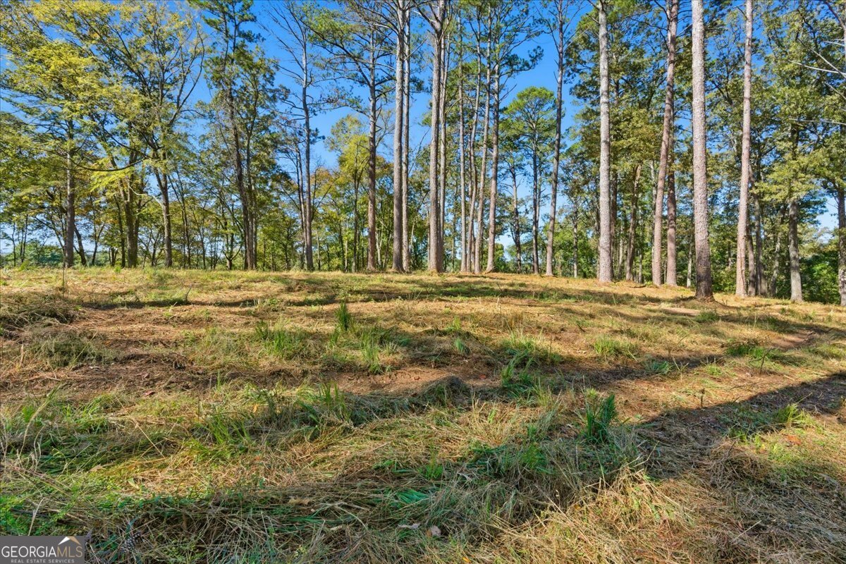 0 Cave Spring Road Property Photo 25