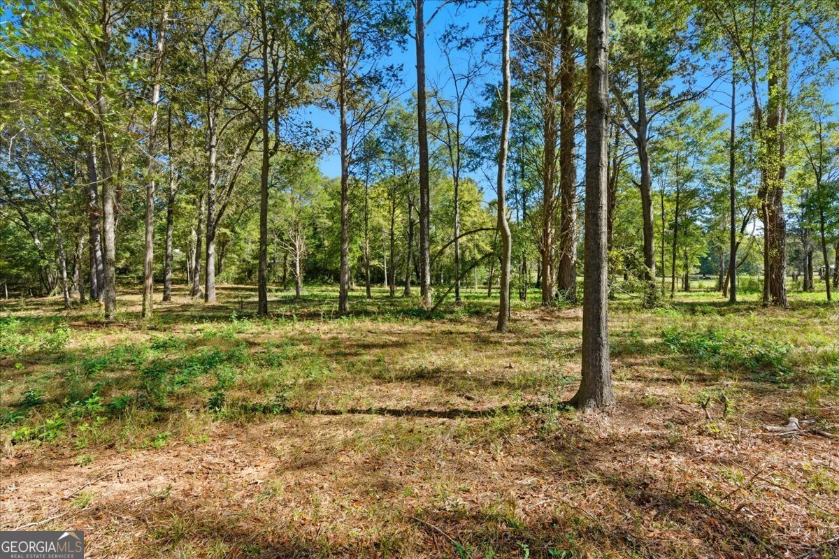 0 Cave Spring Road Property Photo 26