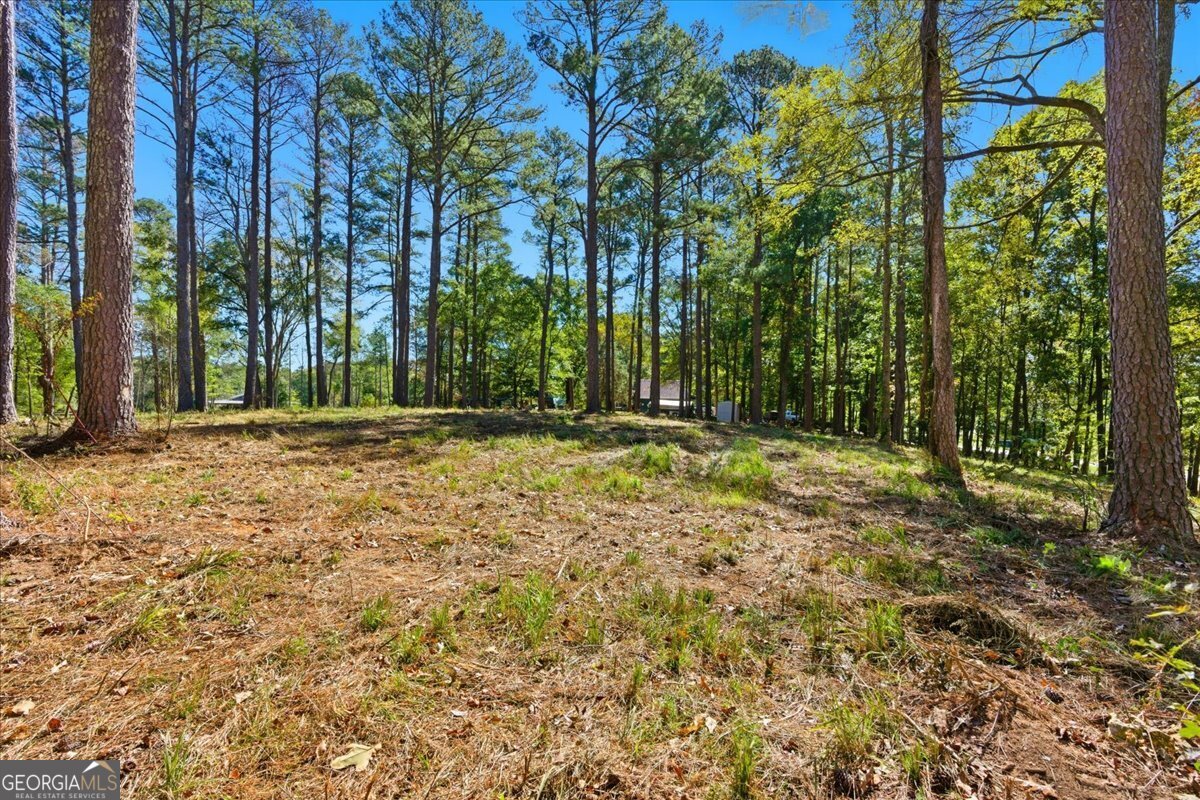 0 Cave Spring Road Property Photo 31