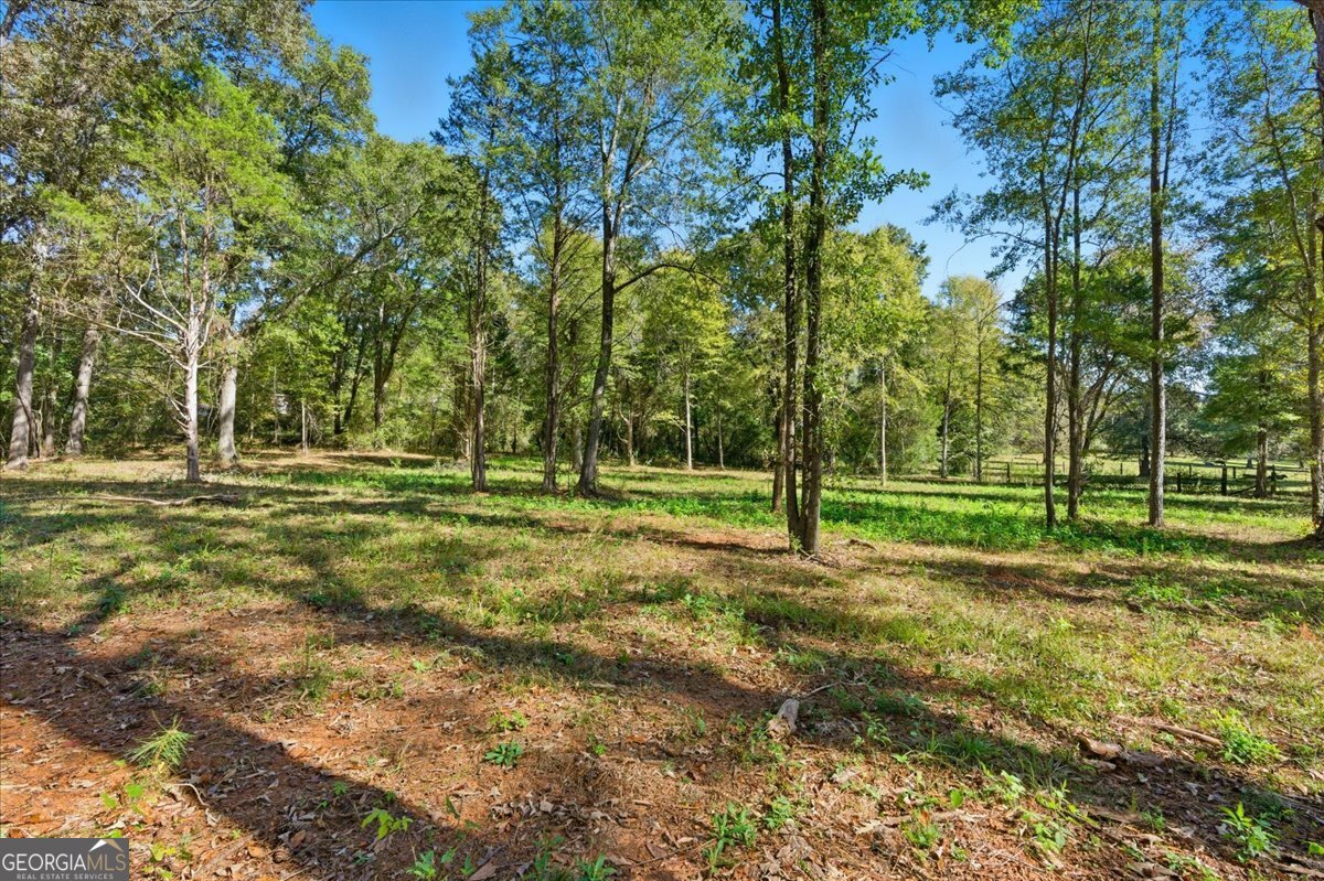 0 Cave Spring Road Property Photo 33