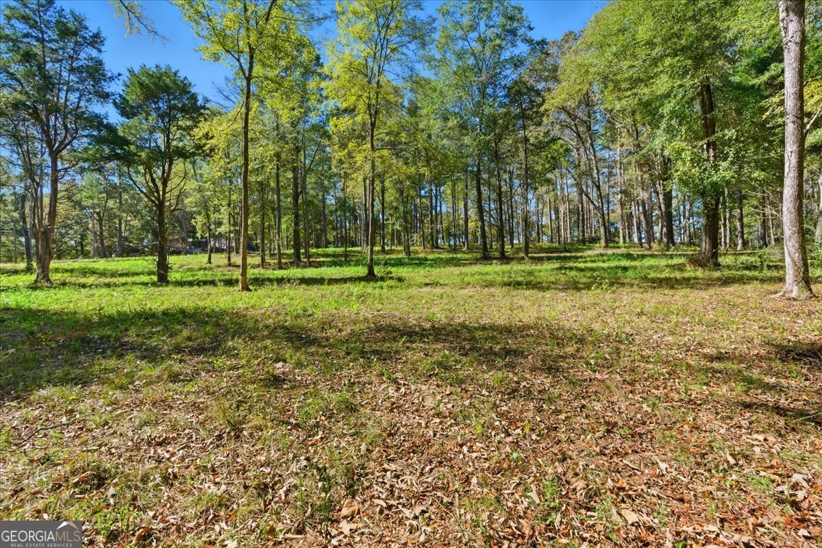 0 Cave Spring Road Property Photo 34